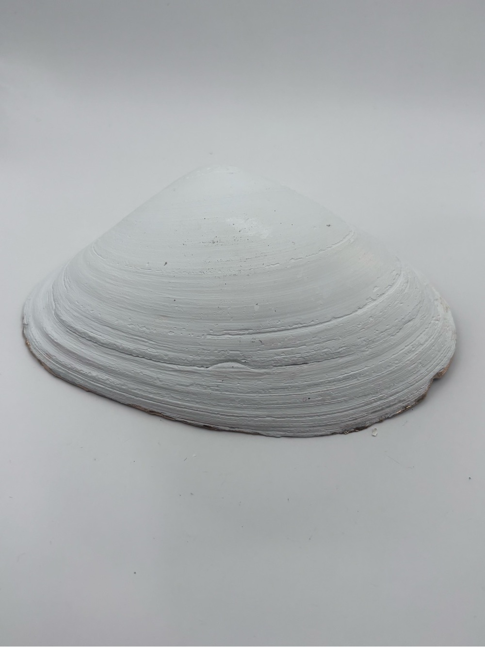 Halloween Witch Hat Decorative Shell Tray - Black and Gold - Picture 4 of 4